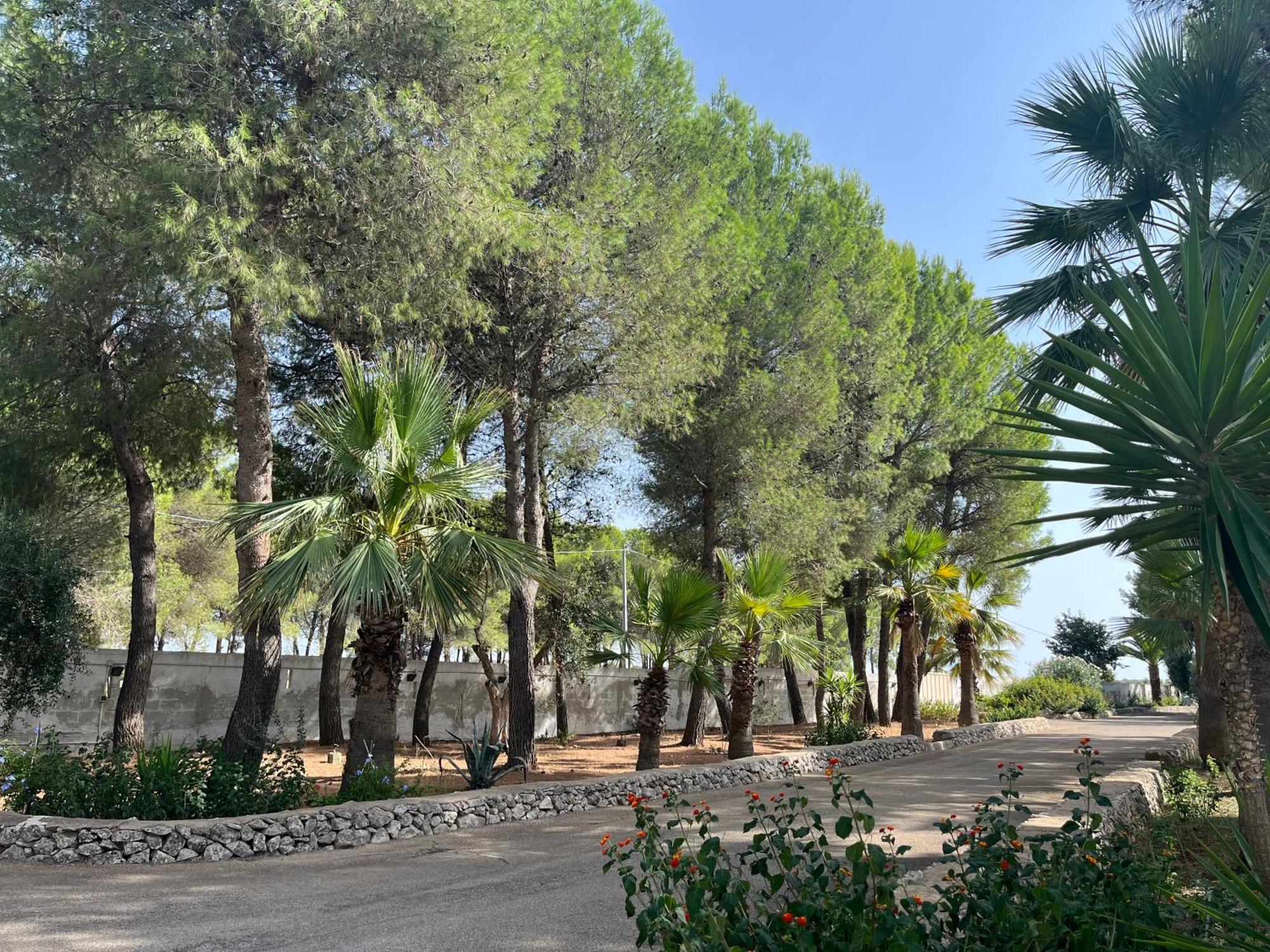 Masseria La Camardia Sava Extérieur photo