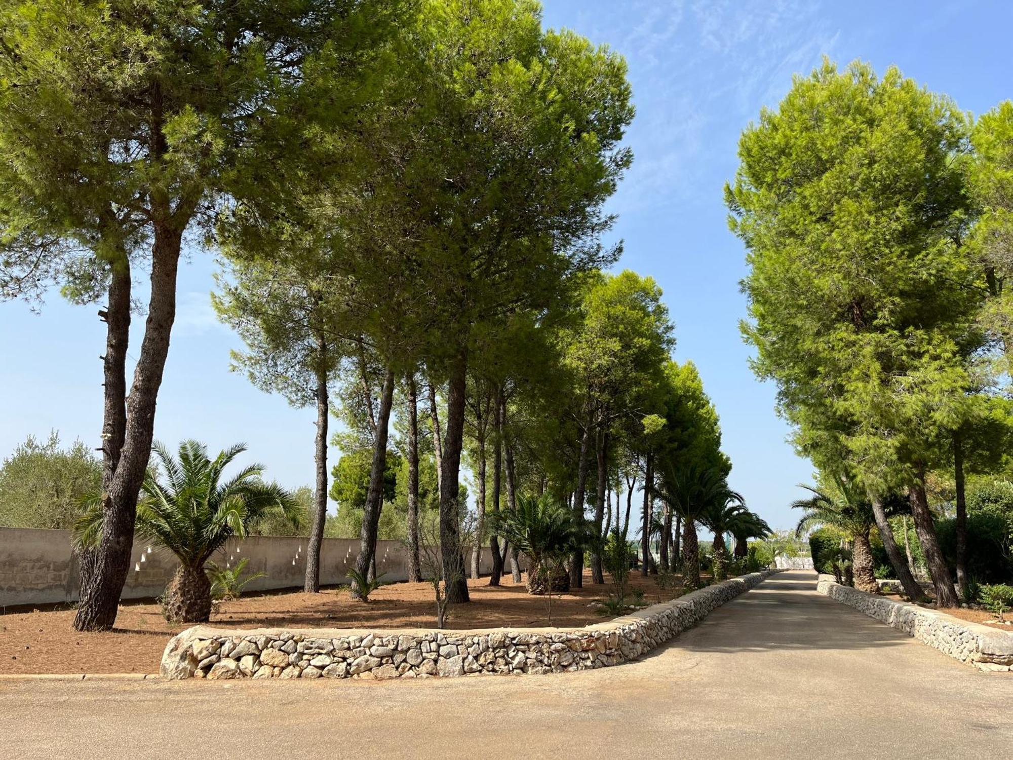 Masseria La Camardia Sava Extérieur photo