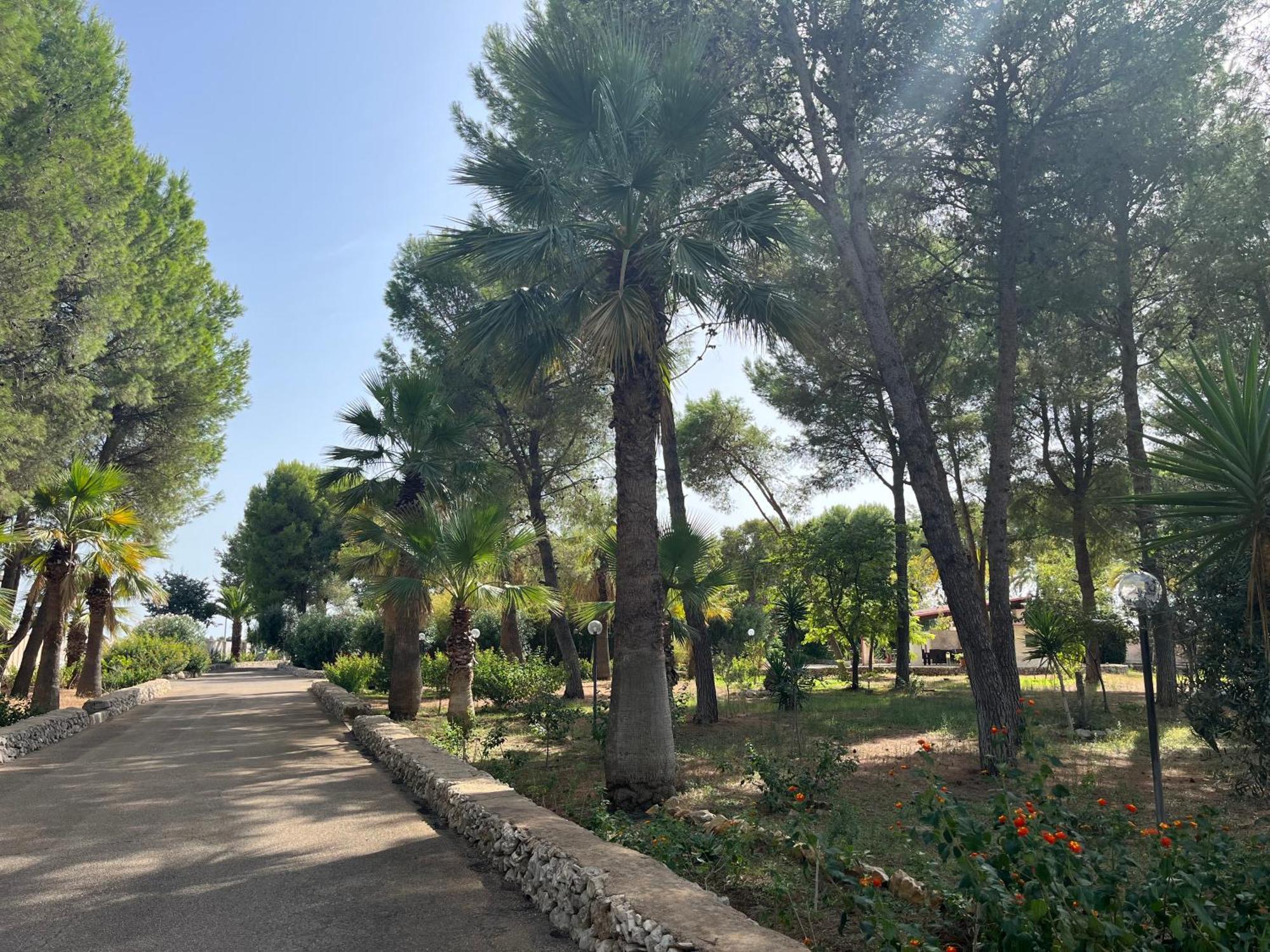 Masseria La Camardia Sava Extérieur photo