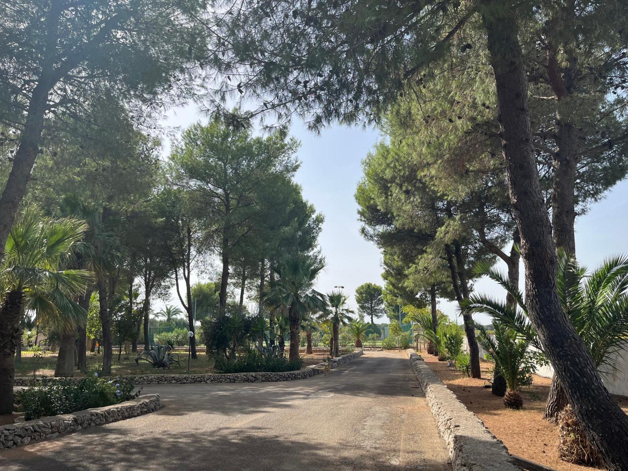 Masseria La Camardia Sava Extérieur photo