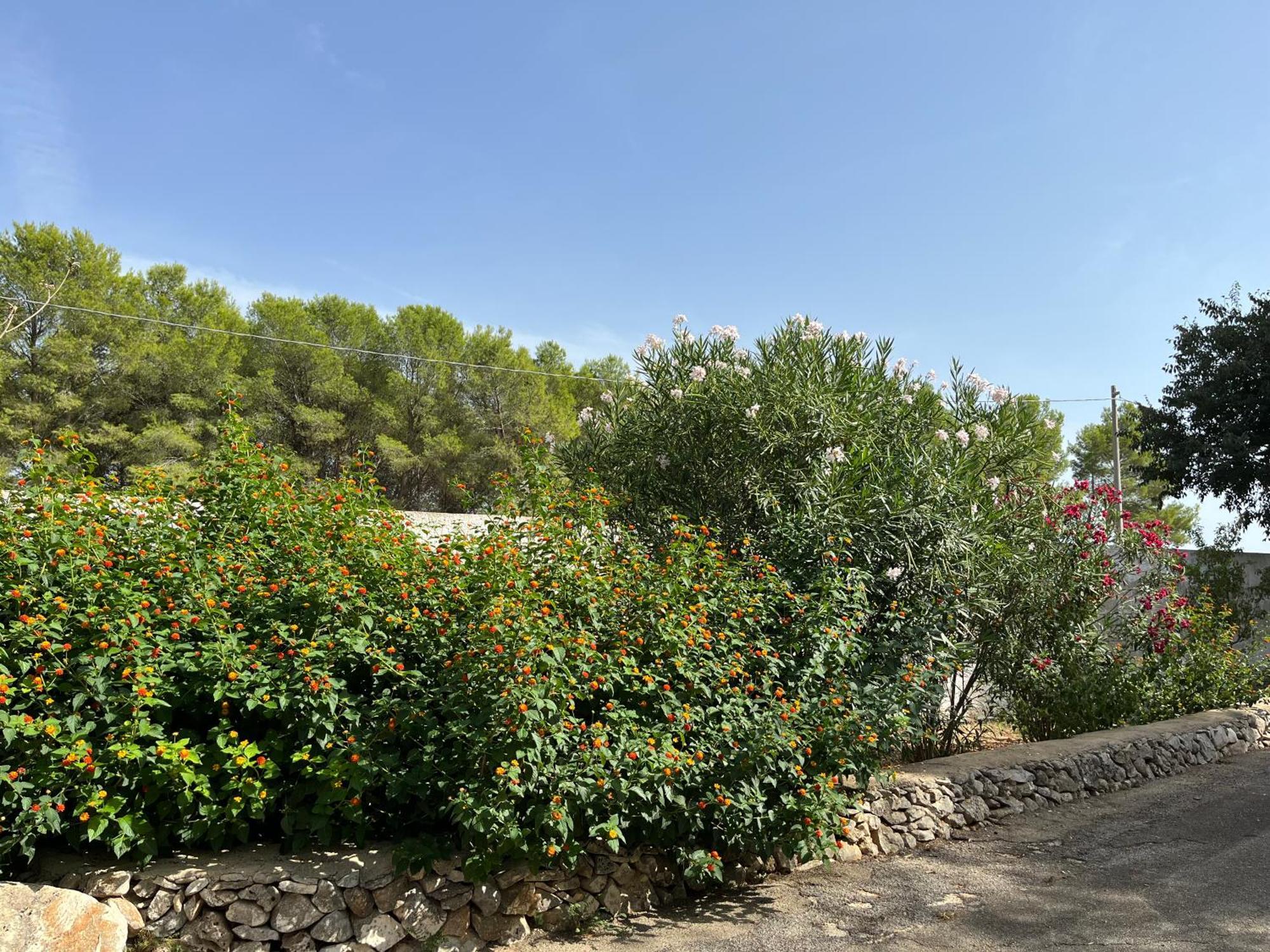 Masseria La Camardia Sava Extérieur photo
