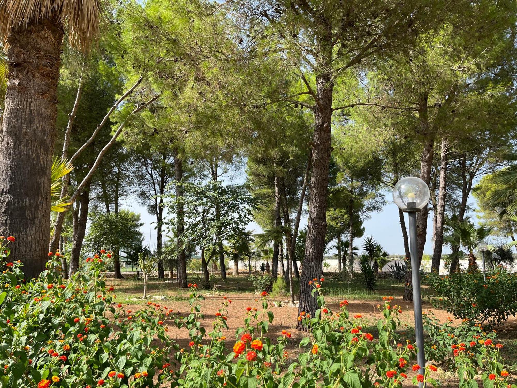 Masseria La Camardia Sava Extérieur photo
