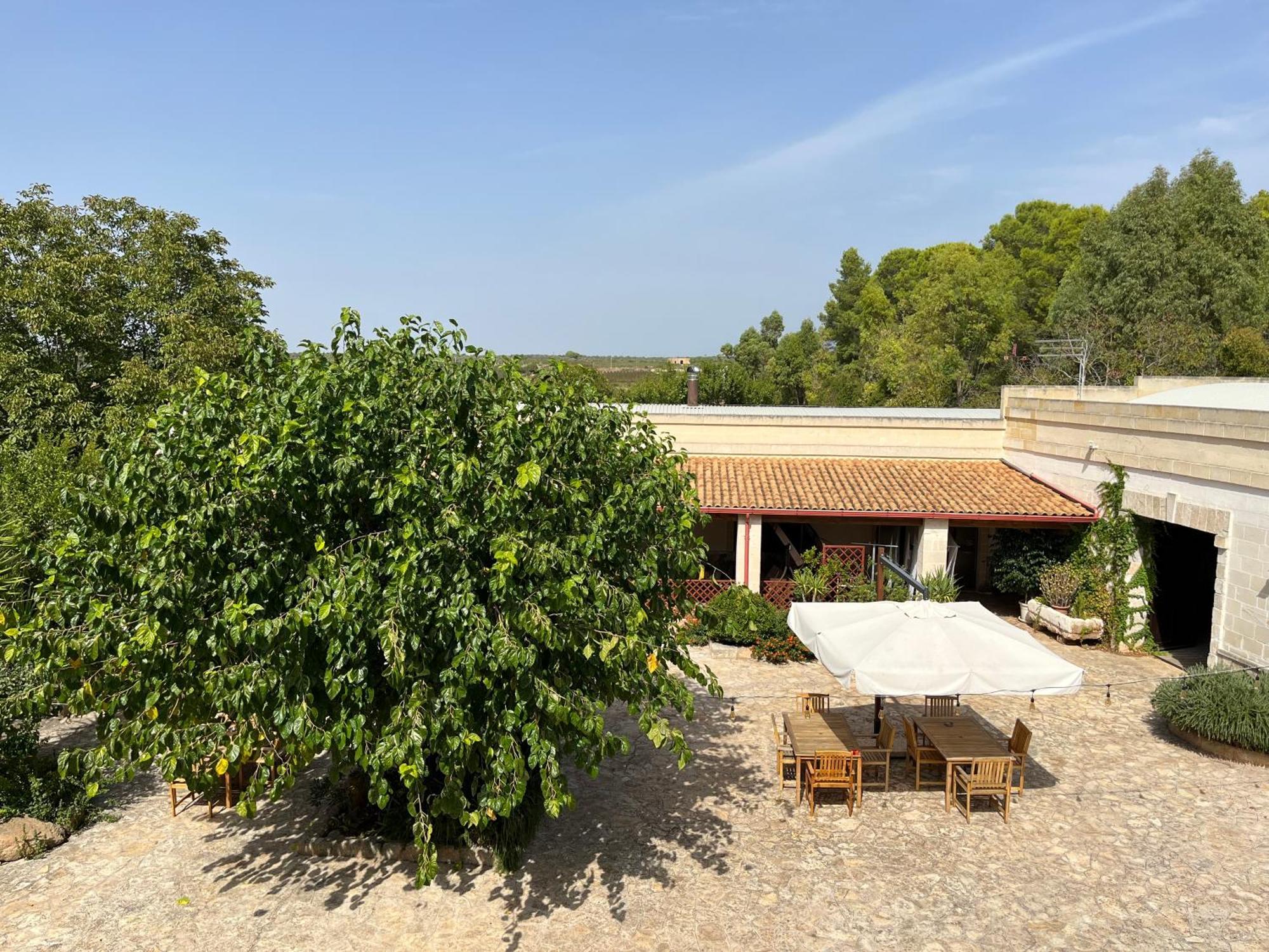 Masseria La Camardia Sava Extérieur photo